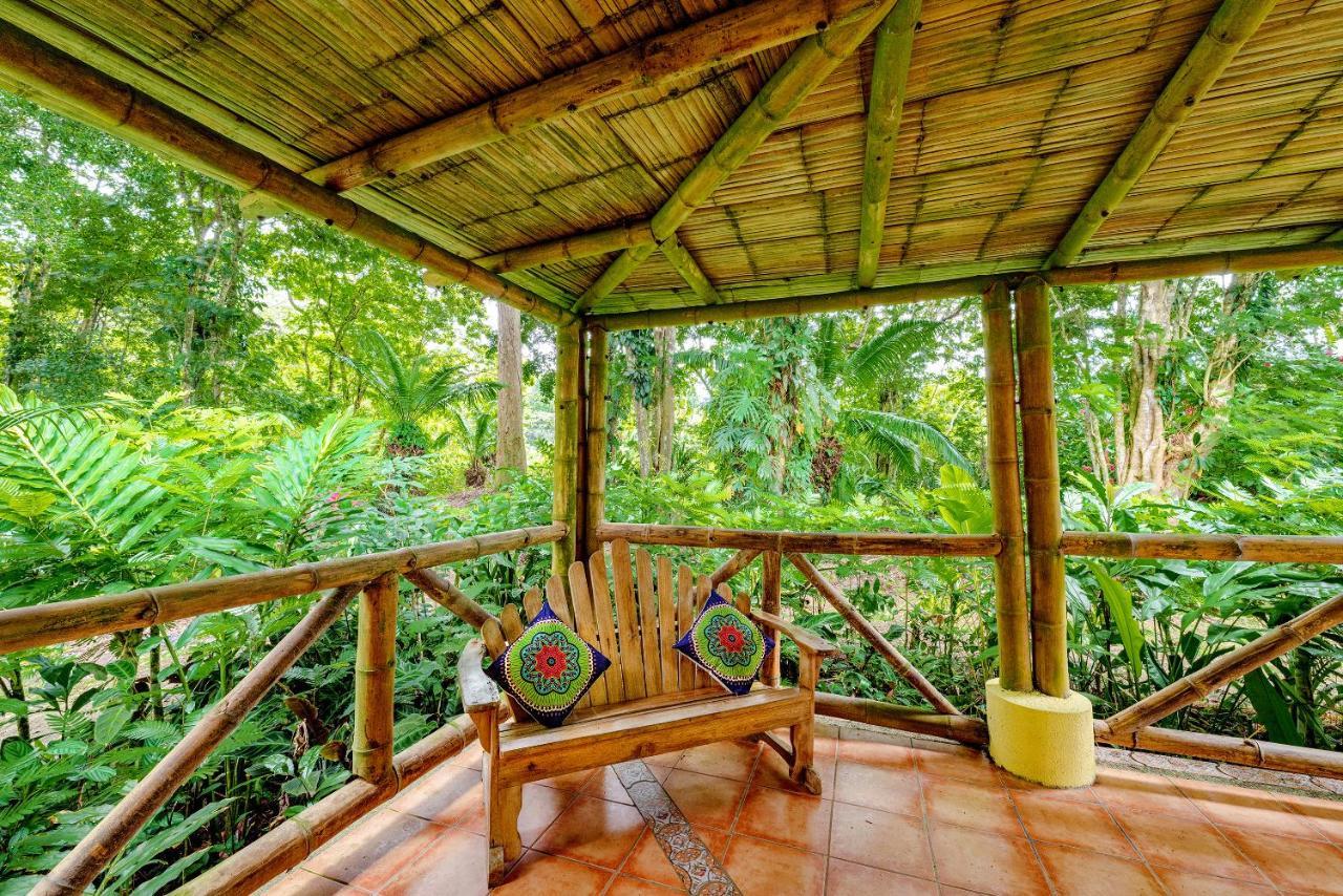 Private Villa On 2-Acres Of Jungle Garden & Pool Manzanillo  Exterior foto